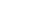 Fendt