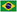 Brazylijski